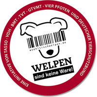 Wühltischwelpen - Checkliste Welpenkauf